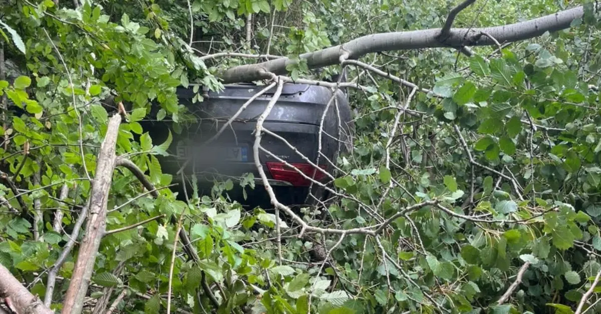 У Ямницькій громаді перекинувся Opel: 36-річний водій загинув