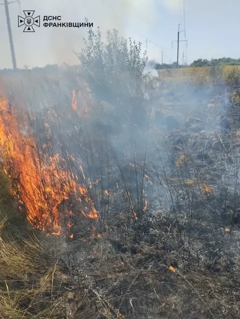 На Калущині жінка постраждала через пожежу сухої трави