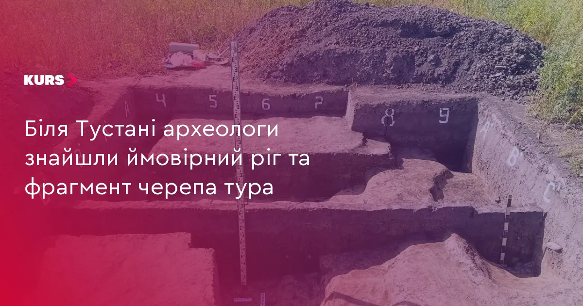 Під Тустанню археологи натрапили на ріг тура у неолітичній ямі