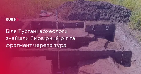 Під Тустанню археологи натрапили на ріг тура у неолітичній ямі
