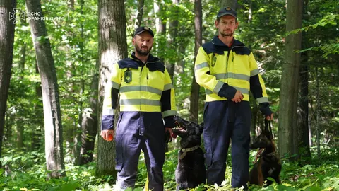 Делі та Єва: чотирилапі рятувальниці Прикарпаття шукають зниклих людей