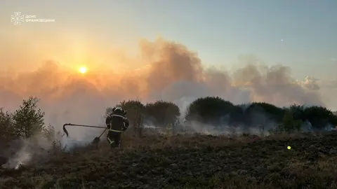 На Прикарпатті за добу ліквідували 8 пожеж сухої трави та сміття
