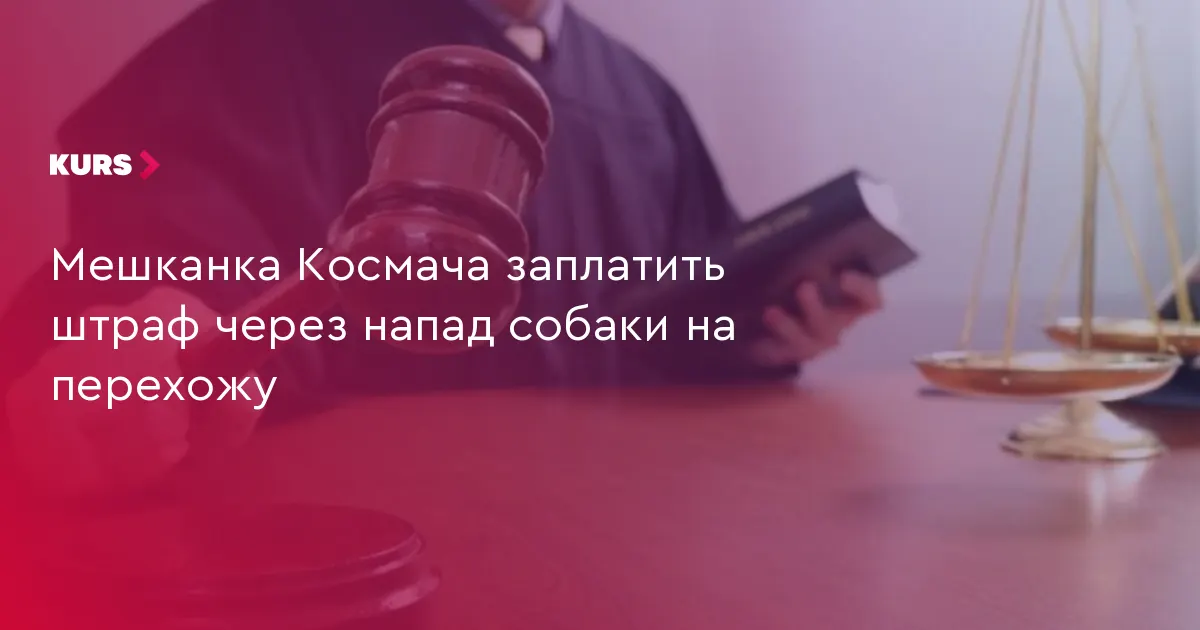 У Космачі власницю собаки оштрафували за напад на перехожу