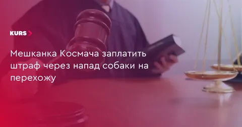 У Космачі власницю собаки оштрафували за напад на перехожу