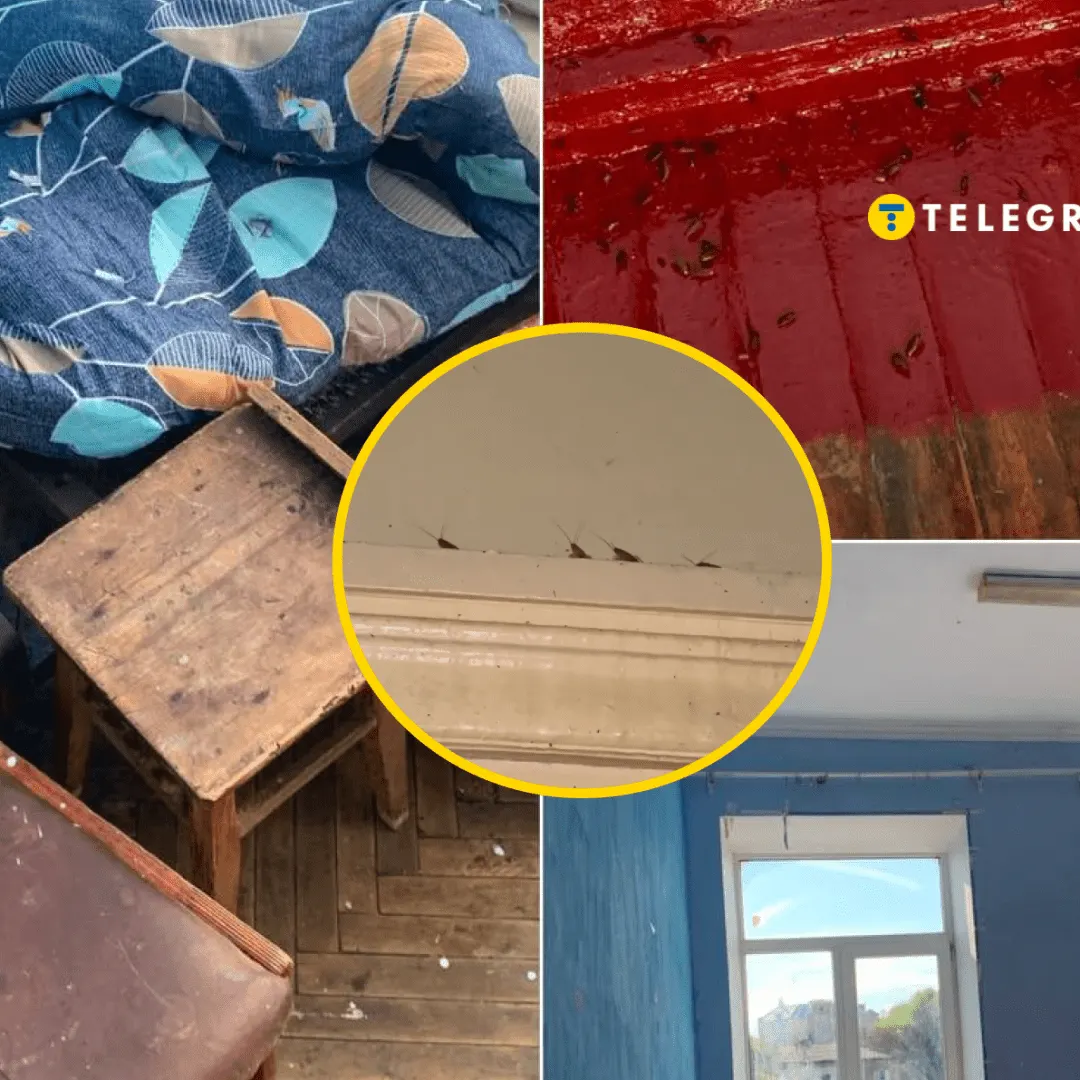 Першокурсники скаржаться на тарганів та плісняву в гуртожитках