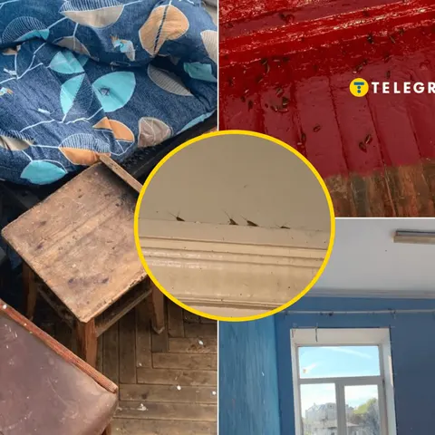 Першокурсники скаржаться на тарганів та плісняву в гуртожитках