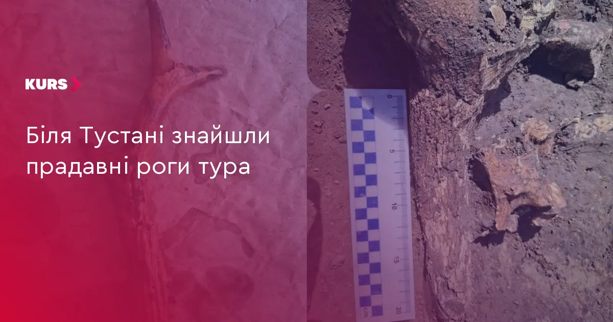 Біля Тустані знайшли прадавні роги тура: що відомо