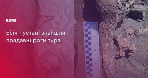 Біля Тустані знайшли прадавні роги тура: що відомо