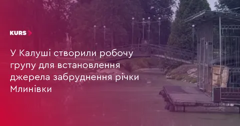 У Калуші шукатимуть джерело забруднення Млинівки після загибелі качок та риби