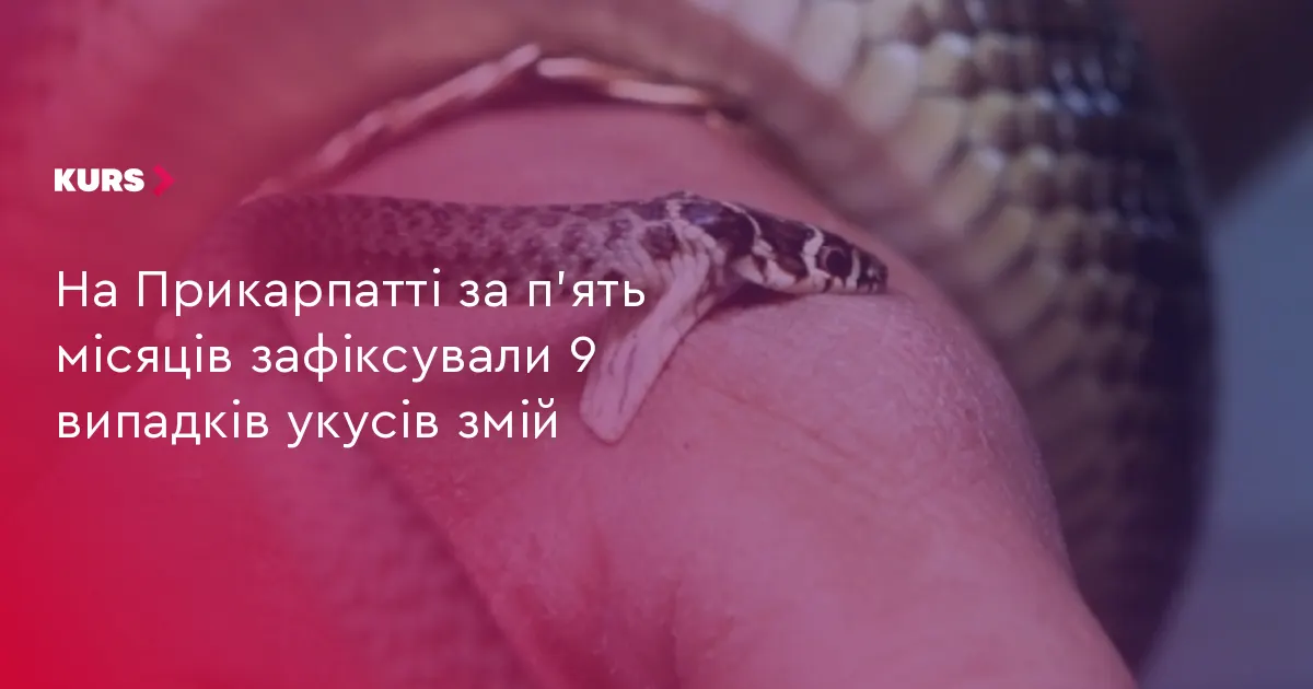 На Прикарпатті з початку сезону змії покусали дев'ятьох людей