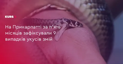 На Прикарпатті з початку сезону змії покусали дев'ятьох людей