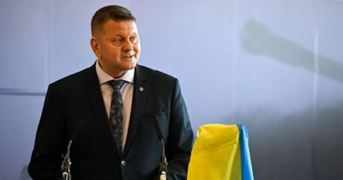 Залужний завершує другу частину «Моєї війни»: рукописи передадуть редакторам ближче до зими