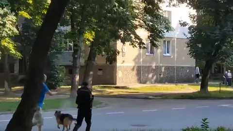 У Калуші суд оштрафував власника вівчарки, яка покусала дитину