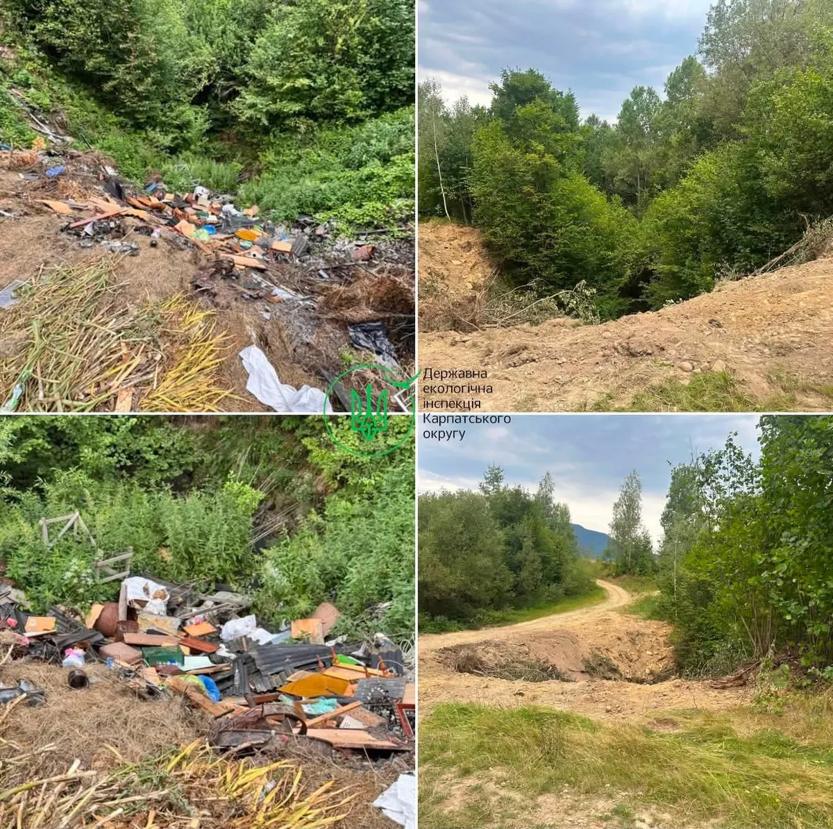 У Підлісках сміття звалили в яр біля потічка: екоінспекція виявила порушення