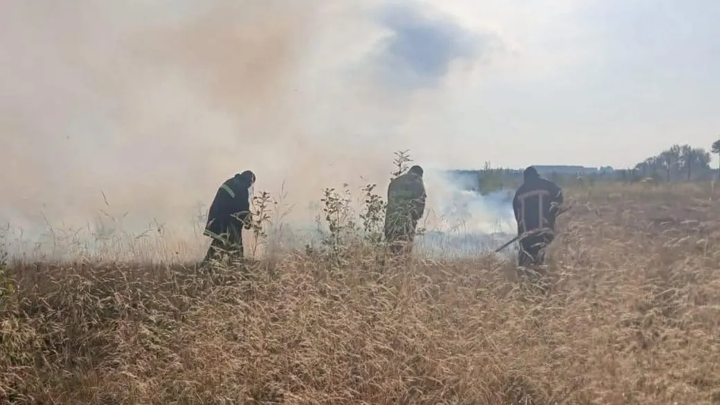 На Франківщині через пожежі сухостою погіршилось повітря: що відомо