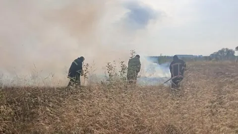 На Франківщині через пожежі сухостою погіршилось повітря: що відомо