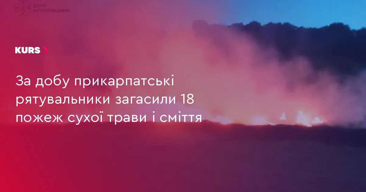 За добу на Прикарпатті загасили 18 пожеж сухої трави та сміття