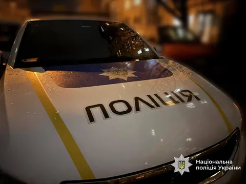 На Надвірнянщині чоловік застрелив кота сусідів: поліція розпочала розслідування