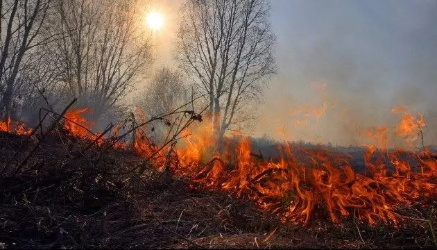 На Калущині через пожежі сухостою погіршилося повітря: триває обстеження з дрона