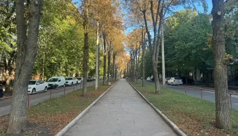 У Кропивницькому Алею Слави облаштовує фірма, пов'язана з родиною заступника мер