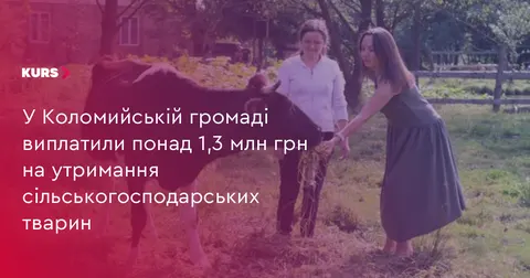 Понад 1,3 млн грн отримали мешканці Коломийської громади на утримання худоби