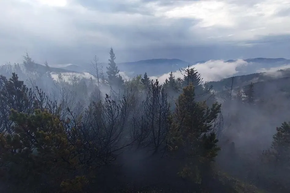 У Словаччині горить ліс у національному парку Велика Фатра