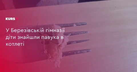 У Березівській гімназії перевіряють, як павук потрапив у котлету