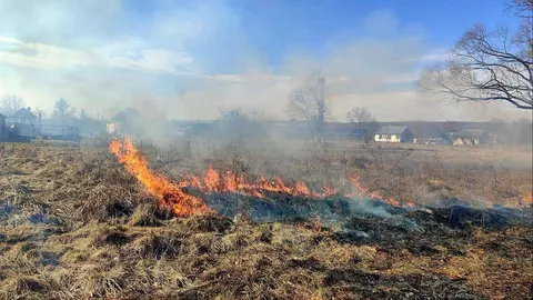 На Прикарпатті з початку року сталося майже 1,4 тисячі пожеж в екосистемах