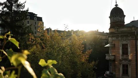 Серпень 2026 року на Івано-Франківщині: тепло та менше опадів