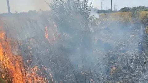 На Прикарпатті пенсіонерка постраждала через пожежу сухостою