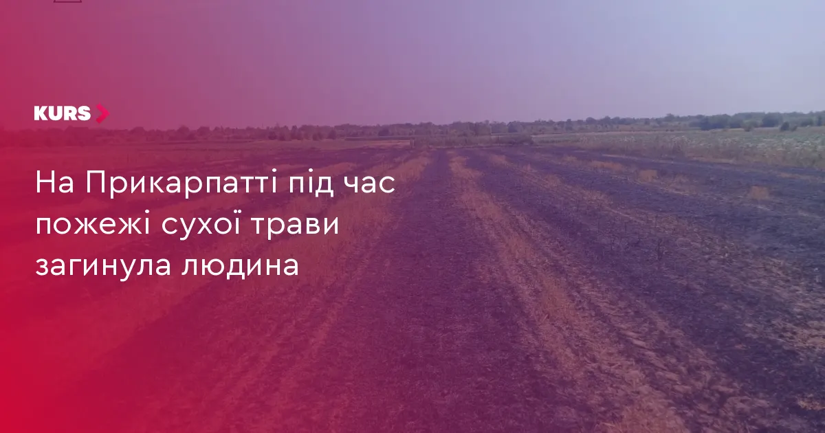На Прикарпатті під час пожежі сухої трави загинула людина