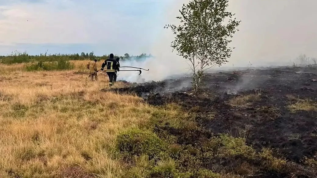 На Прикарпатті рятувальники загасили пожежу сухостою в урочищі Мочар