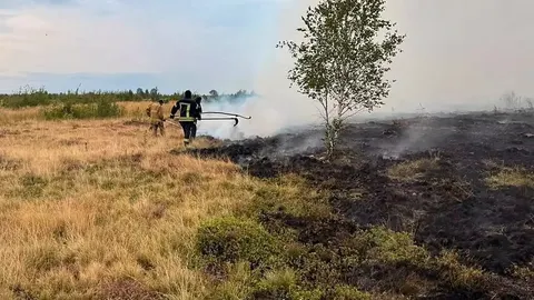 На Прикарпатті рятувальники загасили пожежу сухостою в урочищі Мочар