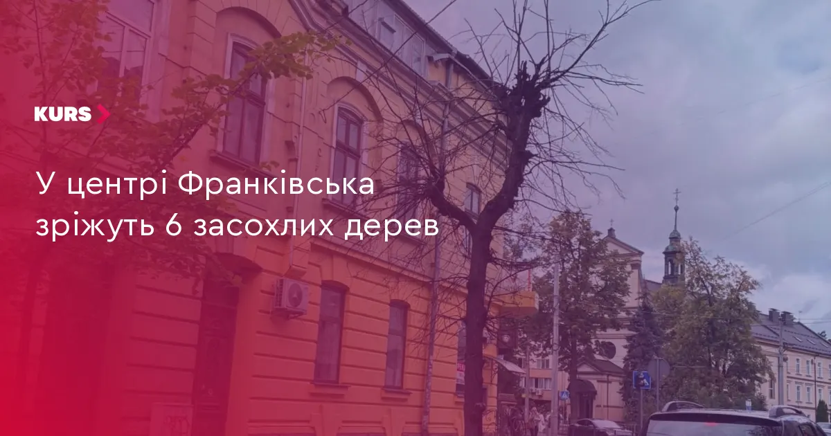 У центрі Івано-Франківська приберуть шість засохлих дерев