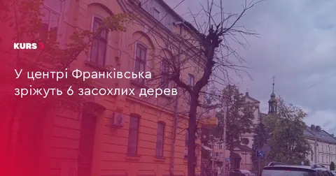 У центрі Івано-Франківська приберуть шість засохлих дерев