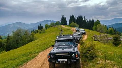 Джипінг у Карпатах хочуть обмежити: вищі штрафи та офіційні траси