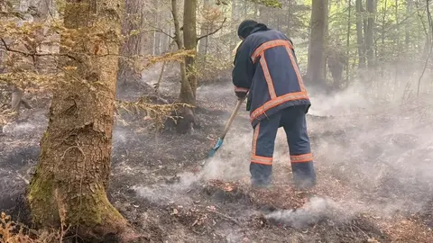 На Прикарпатті за добу ліквідували дев'ять пожеж в екосистемах