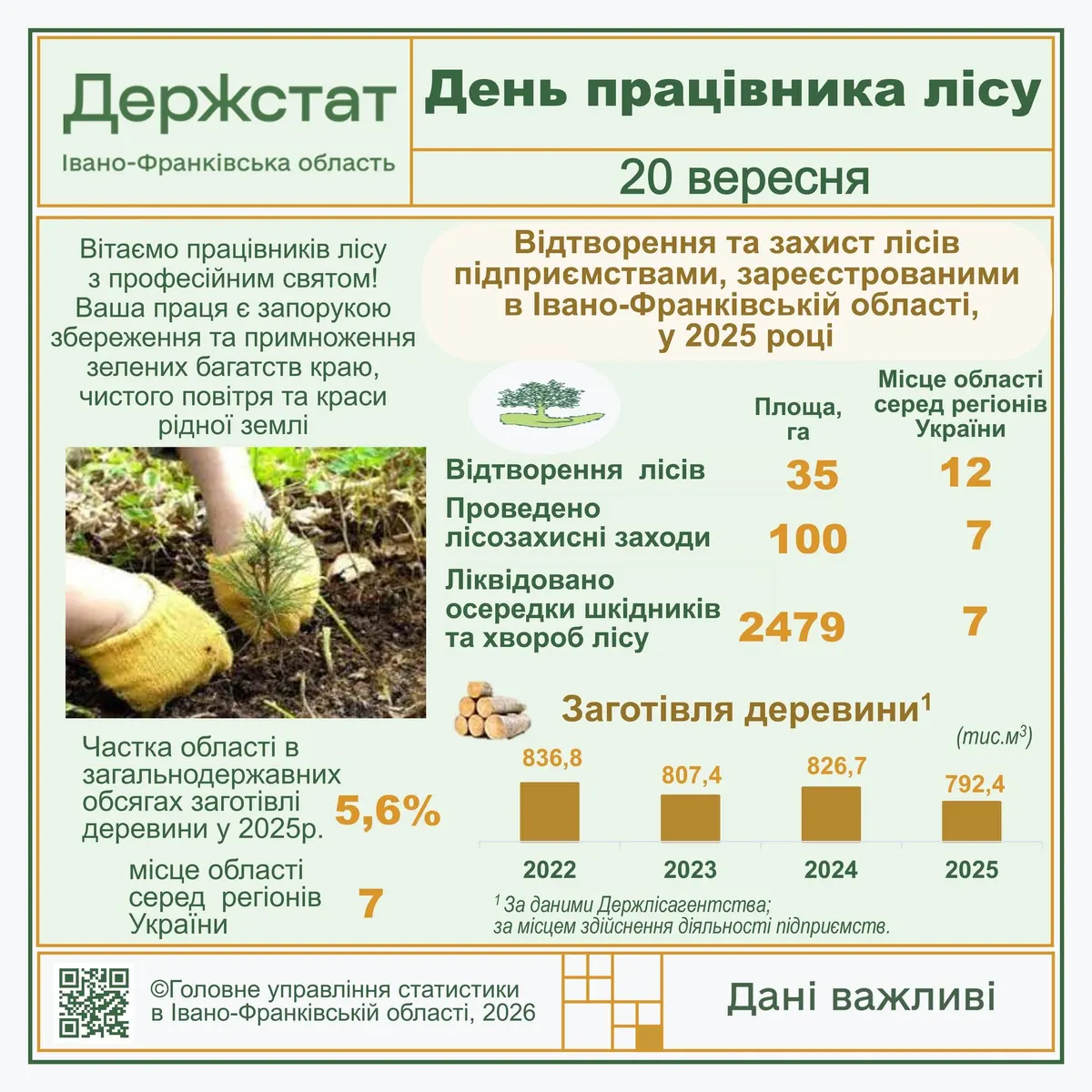 На Прикарпатті торік заготовили 792,4 тис. кубометрів деревини — це сьомий показник в Україні